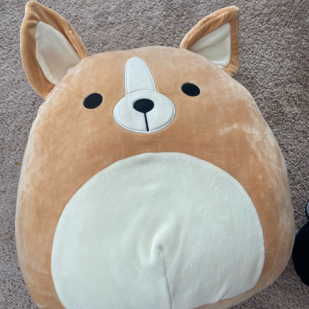 Reginald the 12in Corgi squishmallow and Emily the 3.5in Bat squishmallow